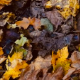 The original leaf image used to create the pattern.
